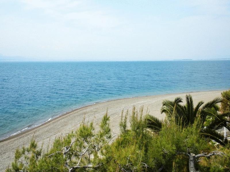 Posidonia Pension Amarynthos Eksteriør bilde