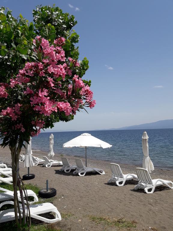 Posidonia Pension Amarynthos Eksteriør bilde